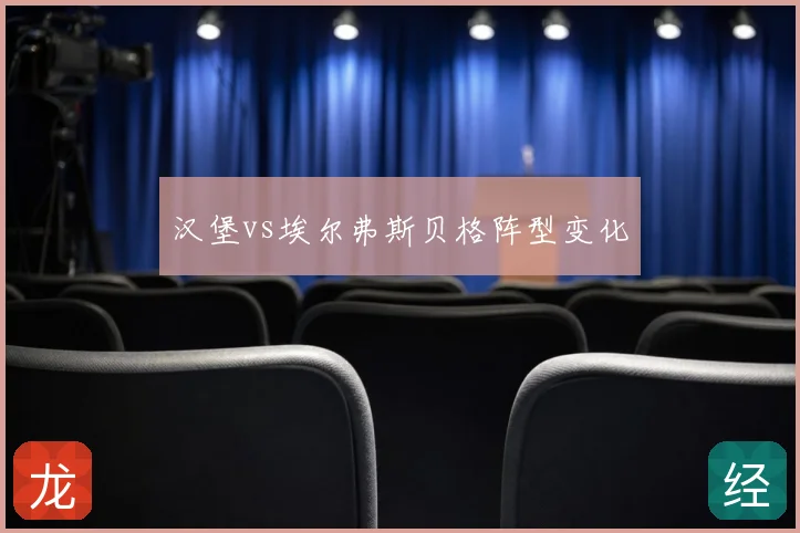 汉堡vs埃尔弗斯贝格阵型变化