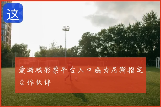 爱游戏彩票平台入口成为尼斯指定合作伙伴
